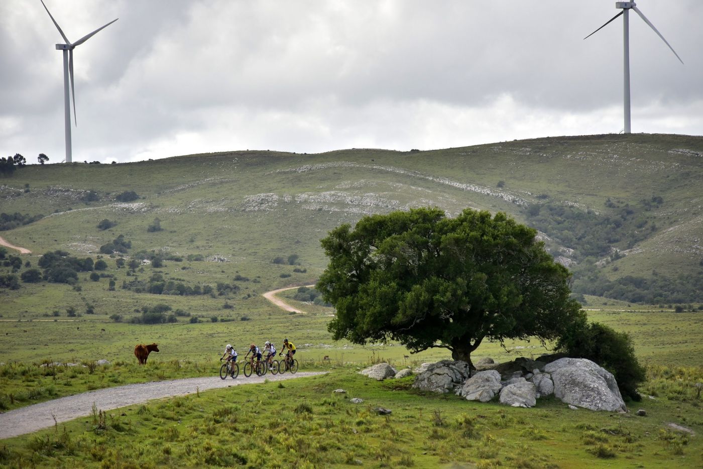 Grupo del Scott Gravel entre los molinos eólicos de las sierras de Minas